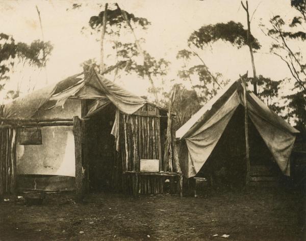 PHOTOGRAPH, B&W, Matthew and William Harwood’s improvised canvas, hessian and bush wood tent/house, Canning Vale, 1912-1913