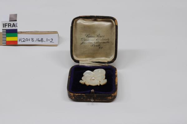 BROOCH, carved pearl shell, Caris Bros, with box