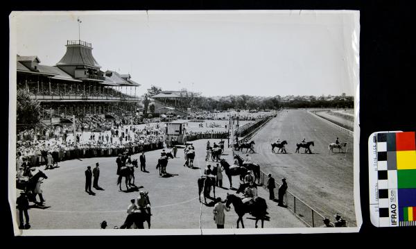 PHOTOGRAPH, b&w, horse-racing, Ascot Raceway, 1950s