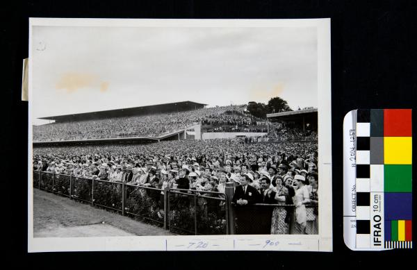 PHOTOGRAPH, b&w, horse-racing, Flemington, Melbourne Cup, 3 Nov 1959, Herald Sun