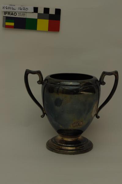 TROPHY, swimming, Ethel Green, Pemberton Swimming Club