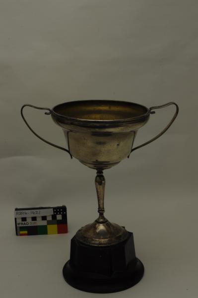 TROPHY, swimming, Ethel Green, breaststroke, Champion senior, 1st, 1936