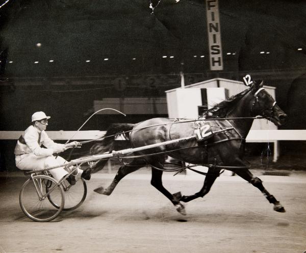 PHOTOGRAPH, b&w, Frank Kersley driving Caduceus, Inter Dominion Championships, Melbourne Showgrounds, 1959