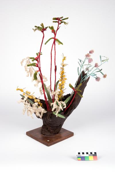 FABRIC WILDFLOWER SPECIMEN, Acacia, Melaleuca, Conospermum, Red Kangaroo Paw, Thelma Knox