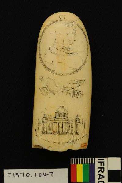 SCRIMSHAW, whale tooth