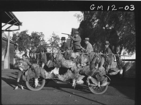 Five men with guns showing off their Wild Turkey catch, 'Duff'