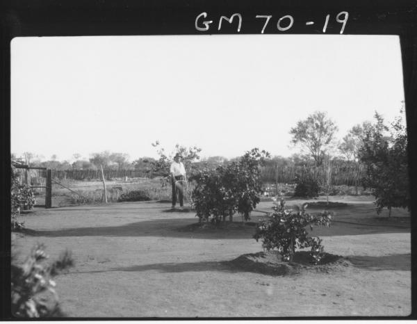 GARDEN OF PINNACLES