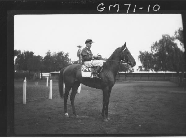 JOCKEY AND HORSE, SARACH