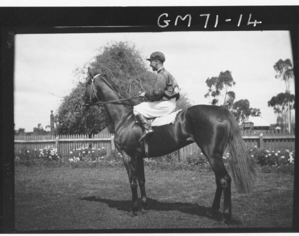 JOCKEY AND HORSE, VAIL