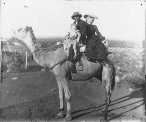 Charlie Wilson, Jessie and child Jack seated on a standing camel. Register 'Wilson Mr J.A. GRP on camel.