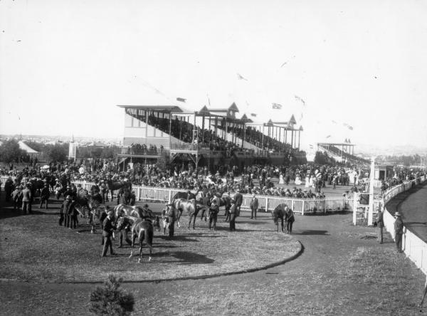 Large crowd at Boulder race course, grandstand in the background and horses in foreground, being weighed in.