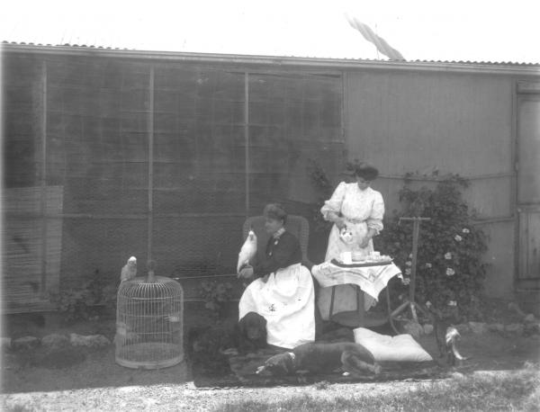 Two women outside house with pets, Mrs Meecham, one woman standing pouring tea, one woman seated with Galah.