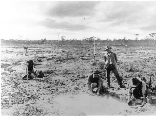 Three men prospecting on Fly Flat, with pans, primitive dry blower nearby. Telegraph line goes overhead, with telegraph camp buildings in distance in sparce bushland. Camel Paddock's.