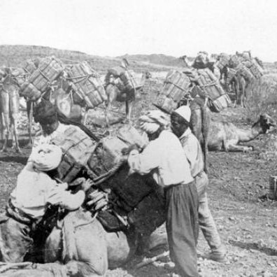 Afghan cameleers loading camels