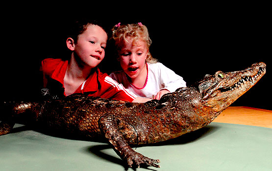 Kids with a crocodile in the Discovery Centre