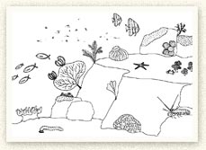 Deep Reef colouring in activity