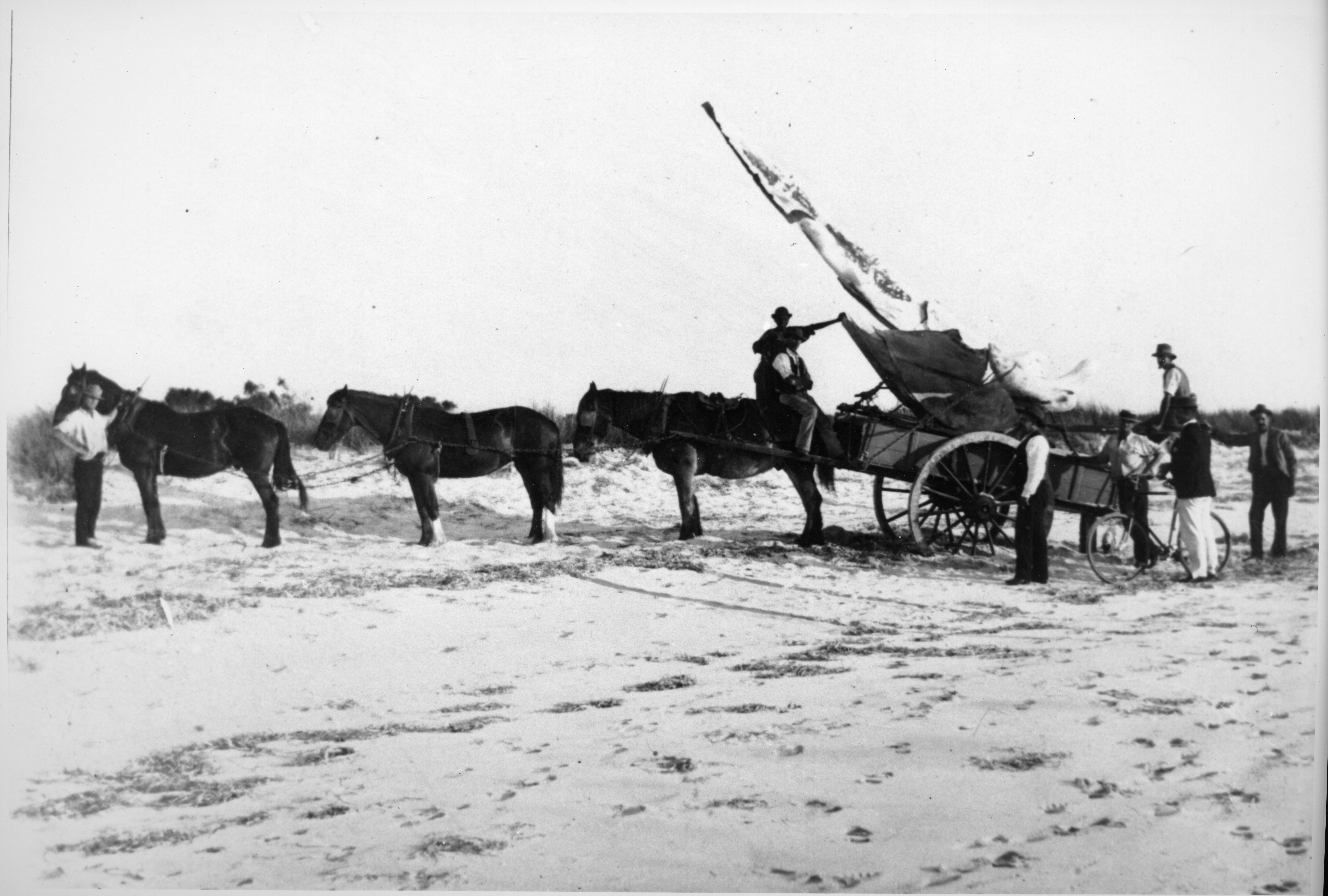 Black and white photo of a horse drawn cart holding a large bone.
