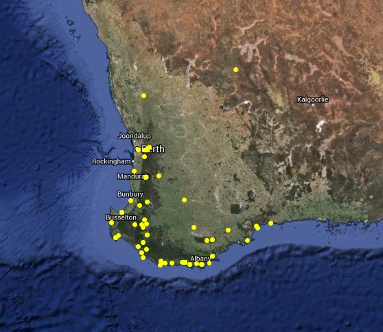 Distribution map of Polyzosteria cuprea in Western Australia