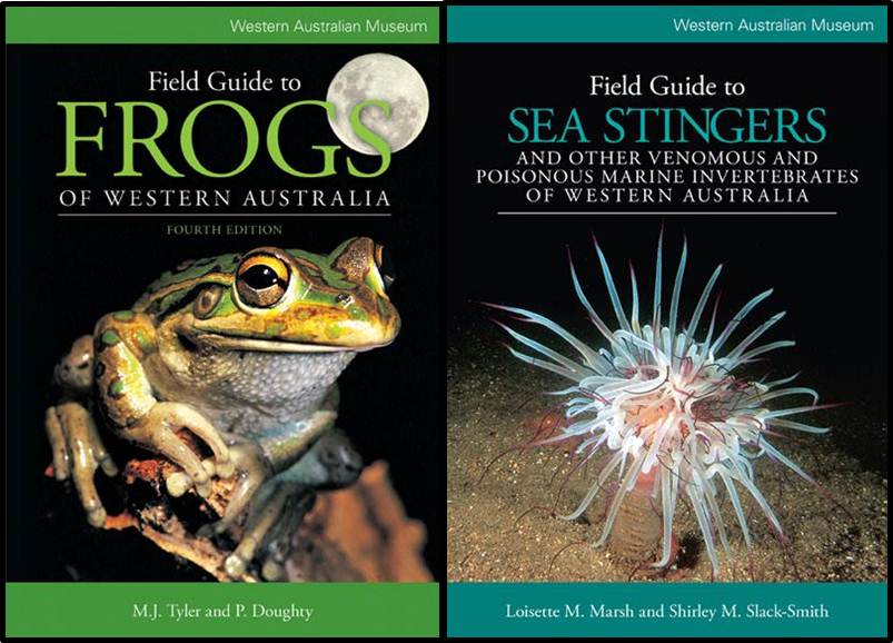 Two books published by the WA Museum, frog and sea stinger on the covers