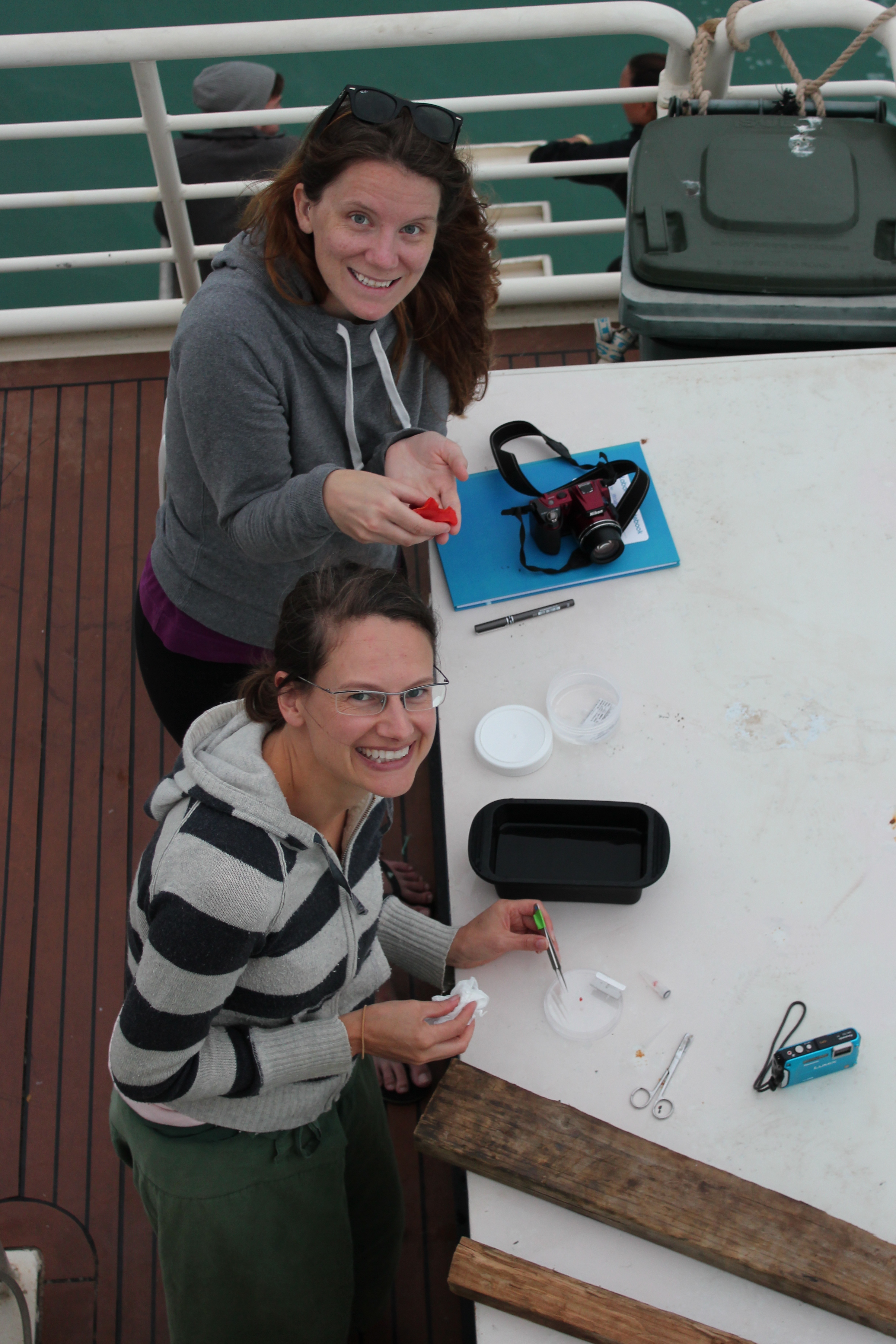 Two researchers take samples from marine animals on the deck of a boat