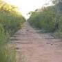 Charles Darwin Reserve