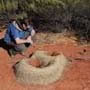 Charles Darwin Reserve