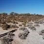 Charles Darwin Reserve