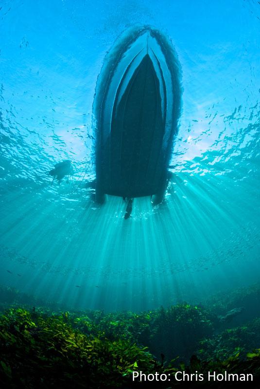 West Australian Underwater Photographic Society Western Australian Museum