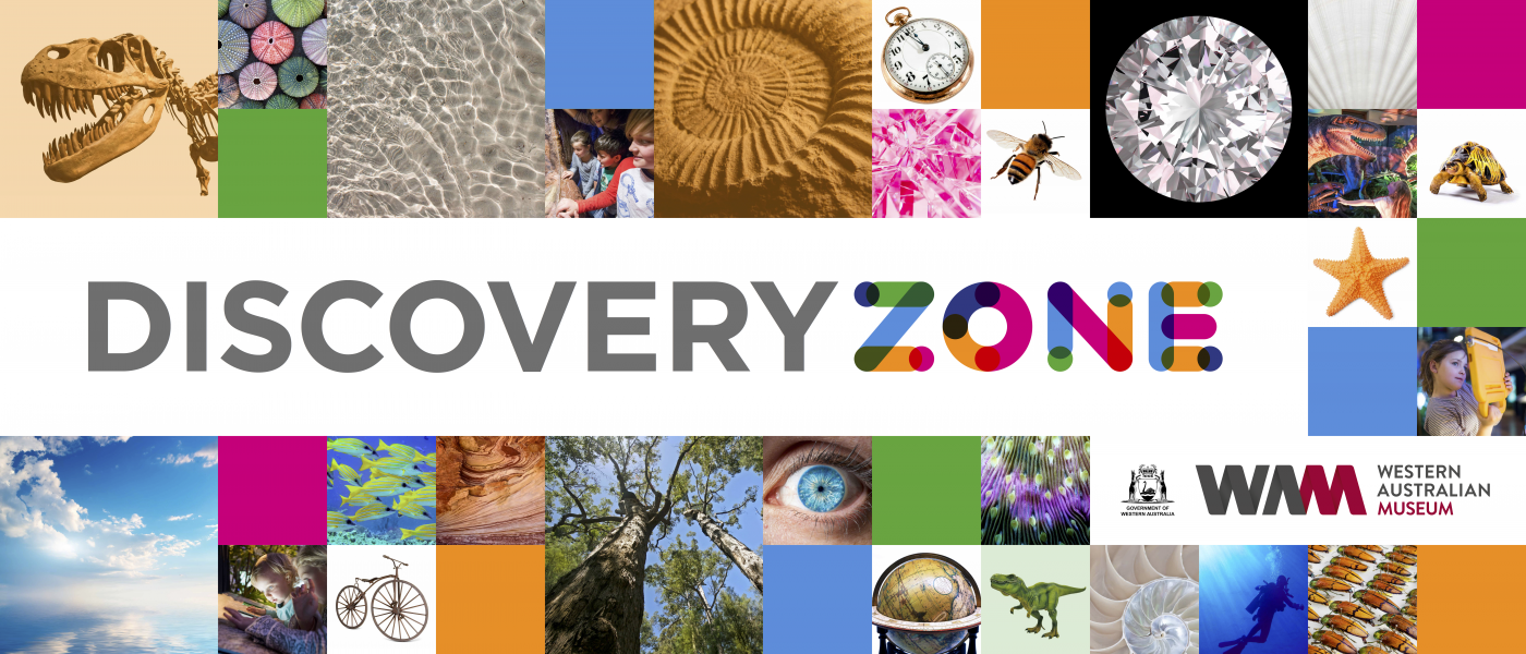 "A large banner with 'Discovery Zone' written centrally."
