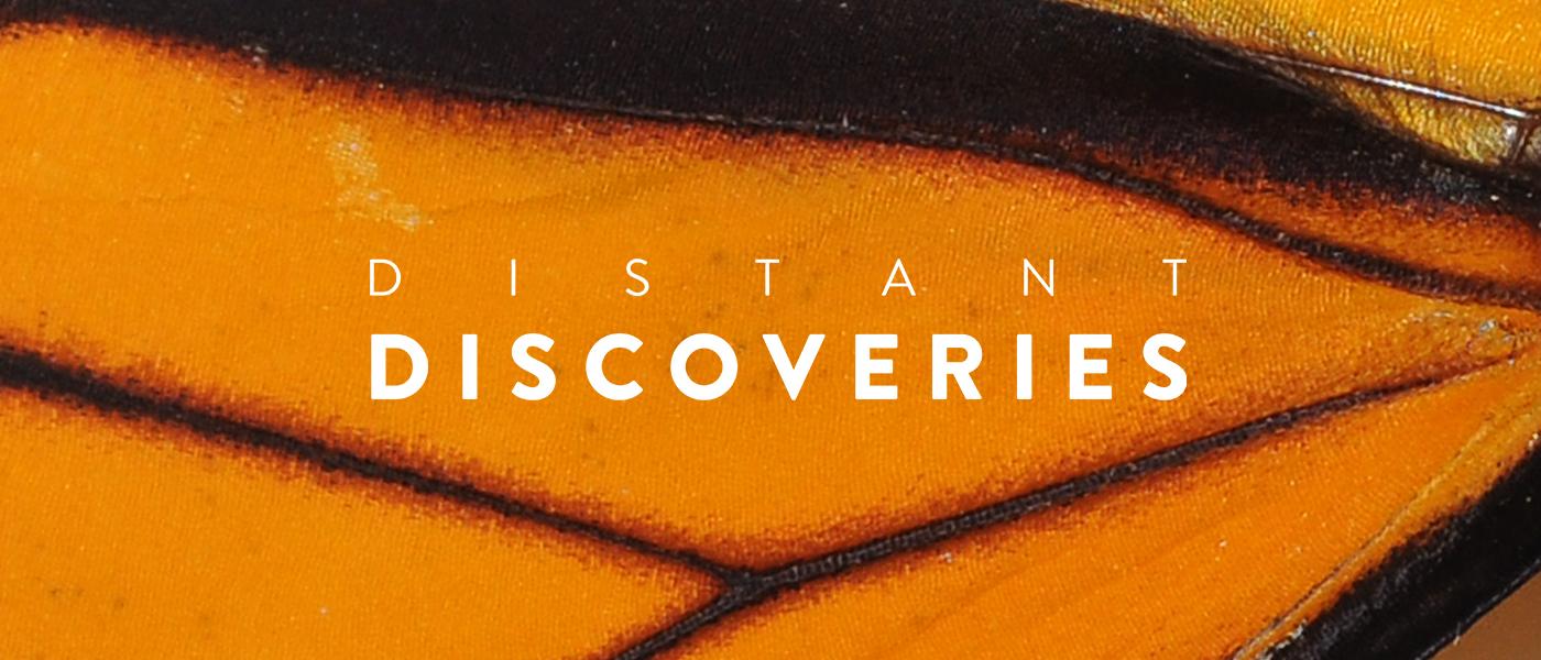 Distant Discoveries - Museum of Geraldton