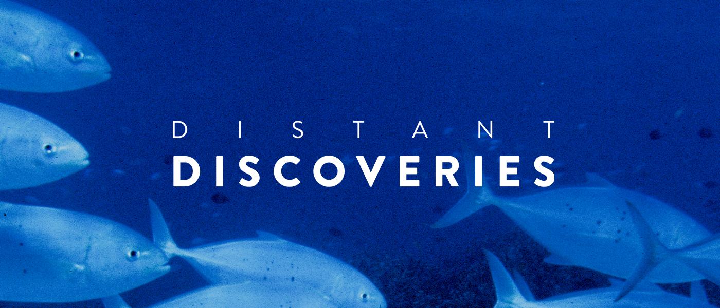 Distant Discoveries - Maritime Museum - underwater with fish