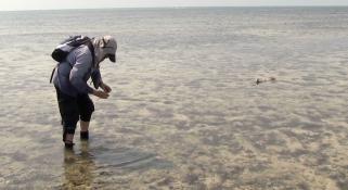 John Huisman with a shark swimming towards him