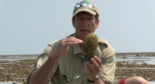 Clay Bryce holding a Baler Shell egg sack