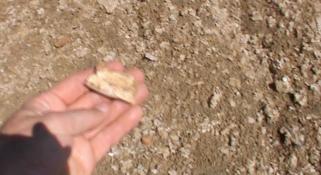 Mikael Siversson holding a fossil in the Australian outback