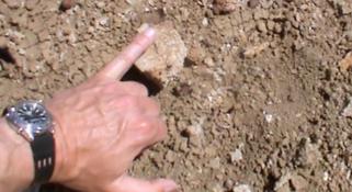 Mikael Siversson hand pointing to a fossil in the Australian outback