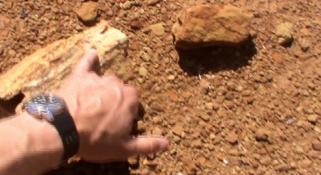 Mikael Siversson hand pointing to a piece of fossilised wood in the Australian outback