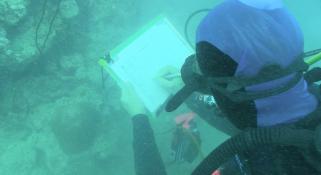 A scientists writing underwater