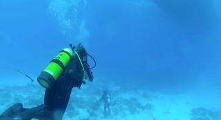 An scuba diver underwater