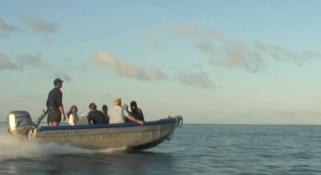 A speedboat heading towards an island