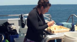 A scientists working onboard a deck