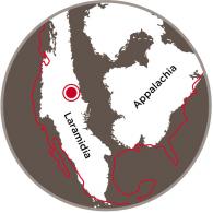 a map of North America 75 million years ago