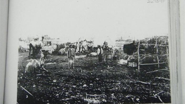Afghan camp on the goldfields 