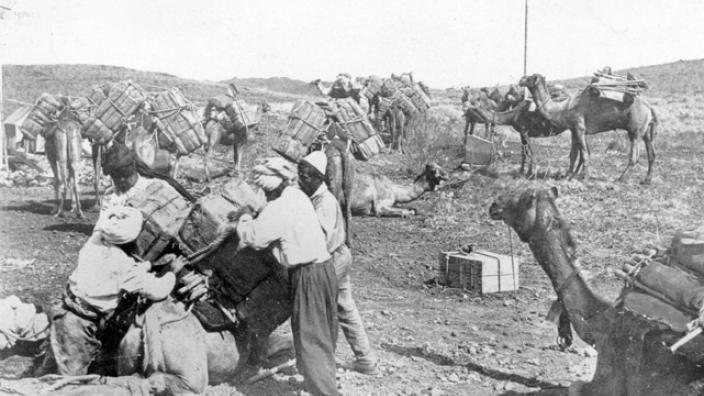 ‘Afghan’ cameleers loading camels, 1900
