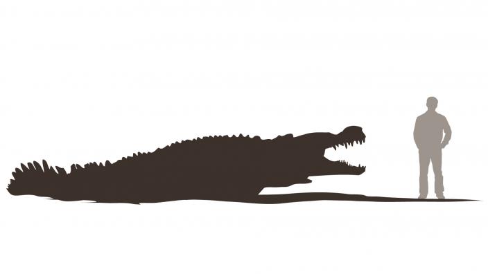 Deinosuchus grew up to 11m in length