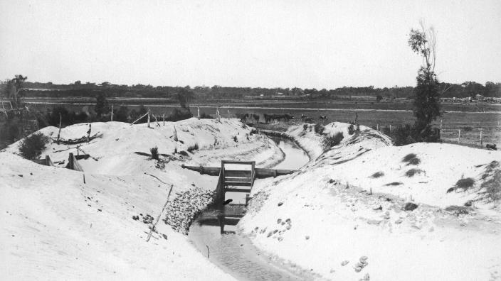 Black and white photo of swamp land 