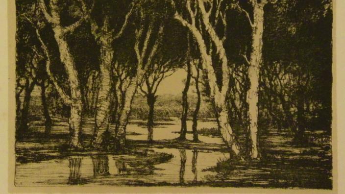 Sepia photo of swamp land with trees and water 