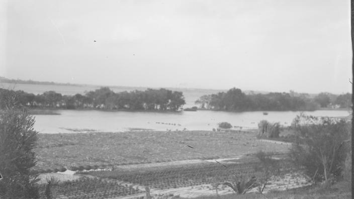 Black and white photo of flooding in a garden near a river