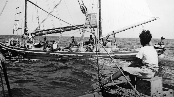 Caption: Saltwater Cowboys