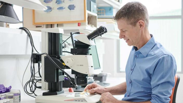 A man looking at a dried sea creature. He is smiling. 