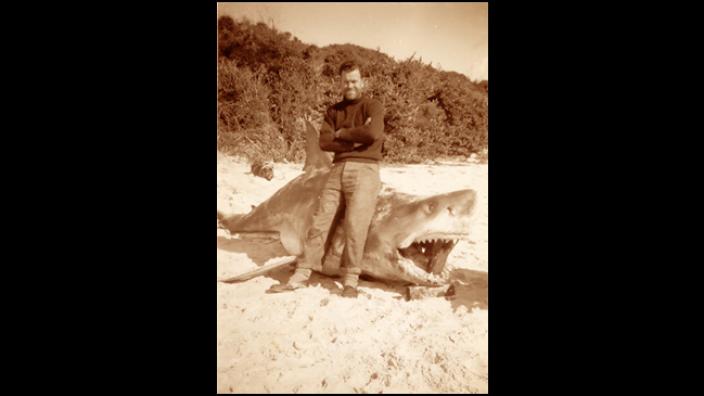 Winchman Don Campbell with a White Shark in 1950
